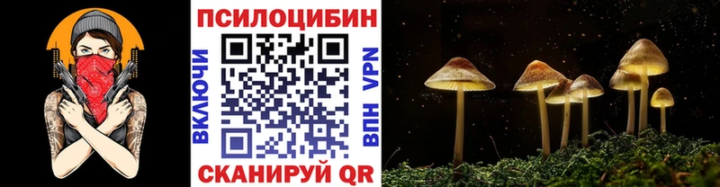 Купить где  Черемхово  Галлюциногенные грибы мицелий 
